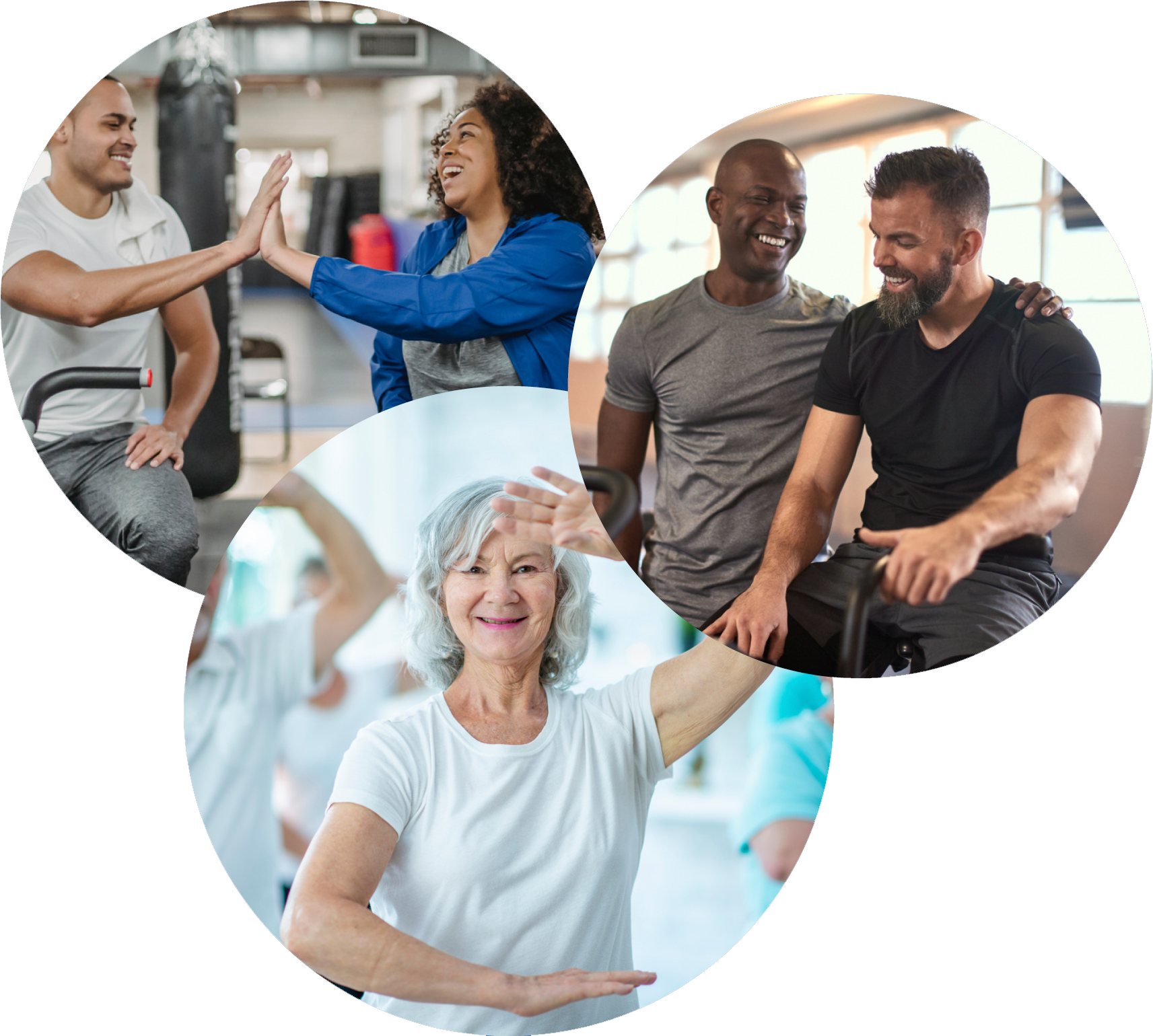 AAAI Certified Personal Trainers