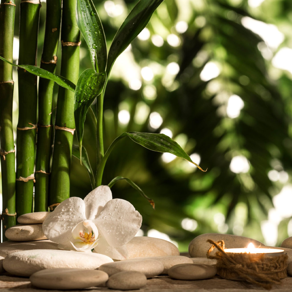 Holistic Health Coach Holistic Health Coach